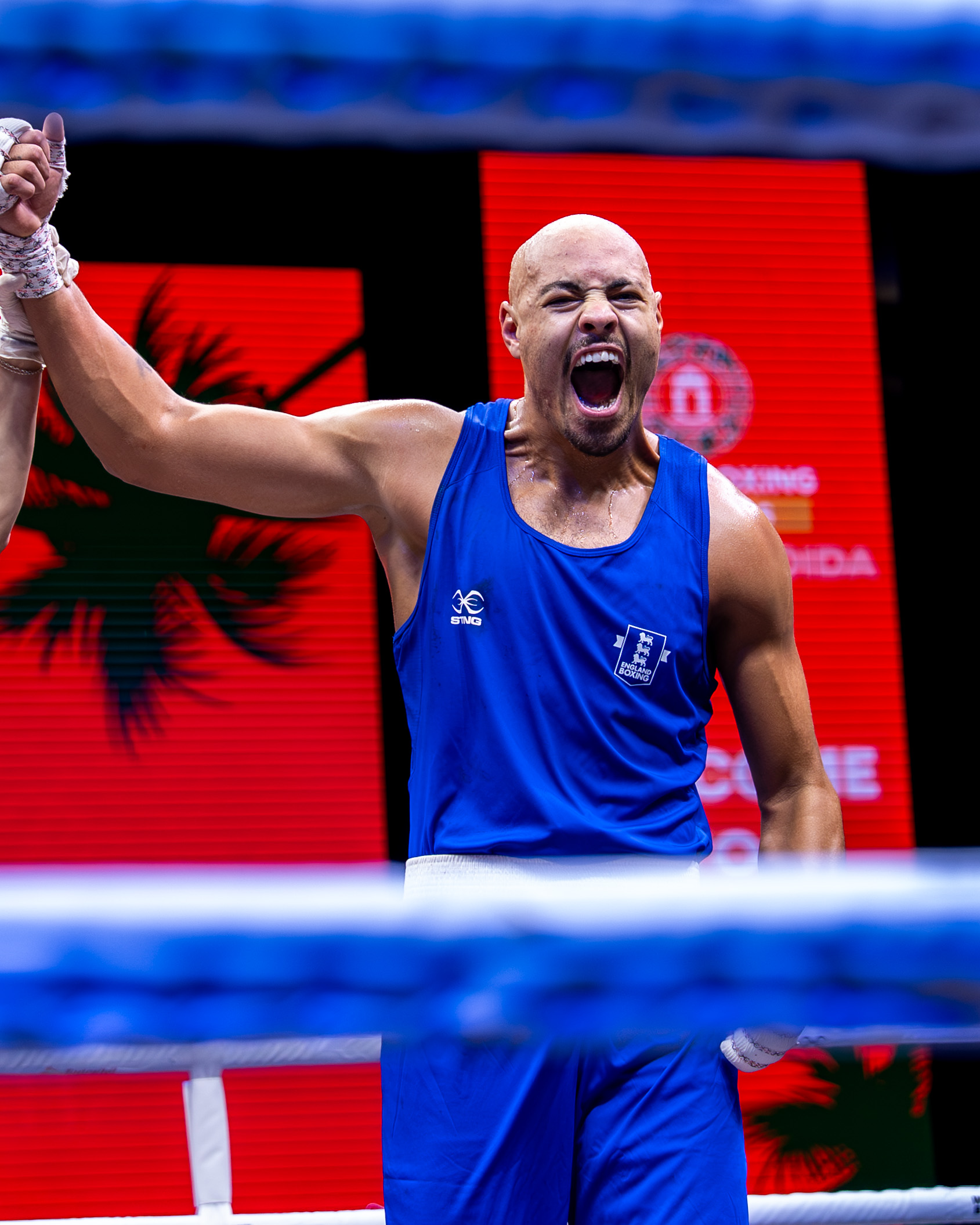 World Boxing Cup Finals: India